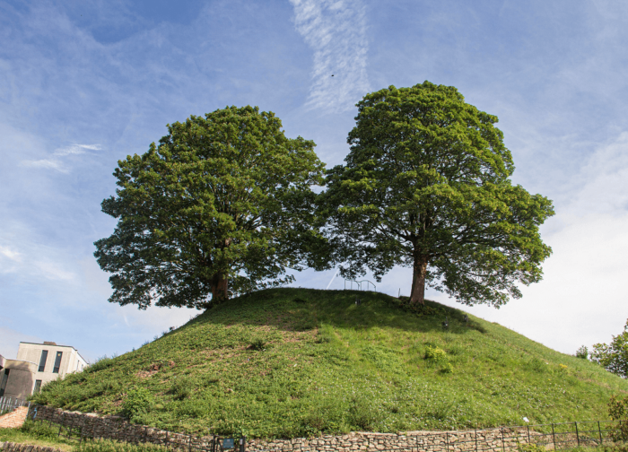 Two trees on the a grassy mound at Oxford Castle & Prison